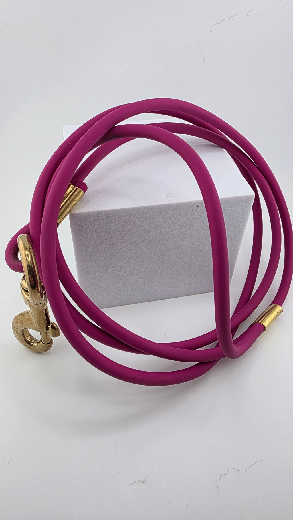 4 Foot Biothane Leash with Handle