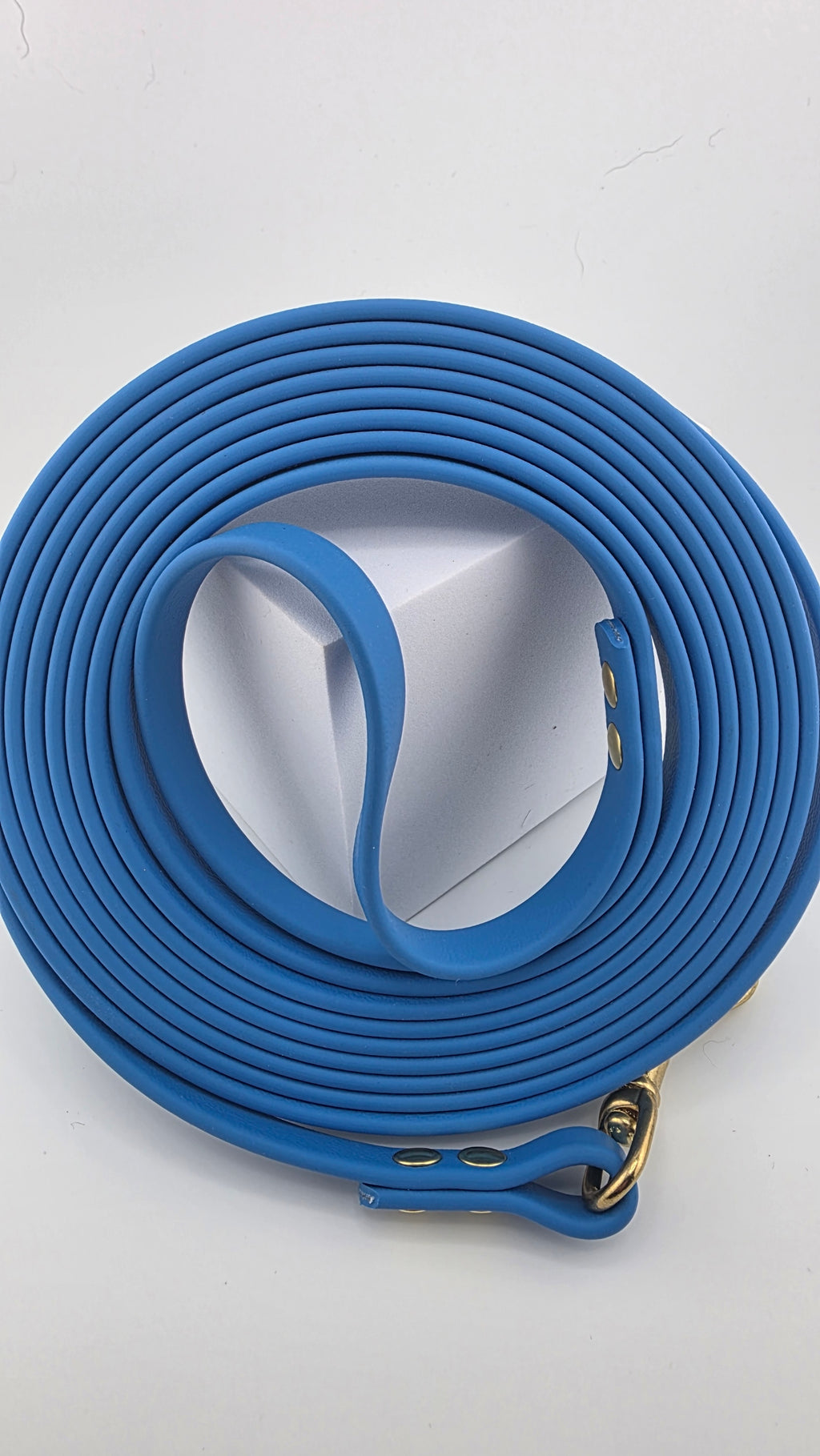 12 Foot Biothane Leash