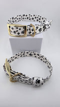 Strut your stuff paws collar