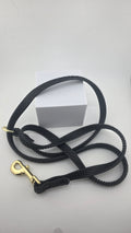 Grippy Biothane Convertible leash.